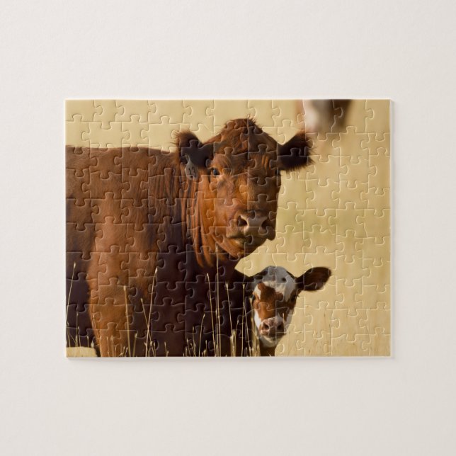 Western Cow and Calf Jigsaw Puzzle (Horizontal)