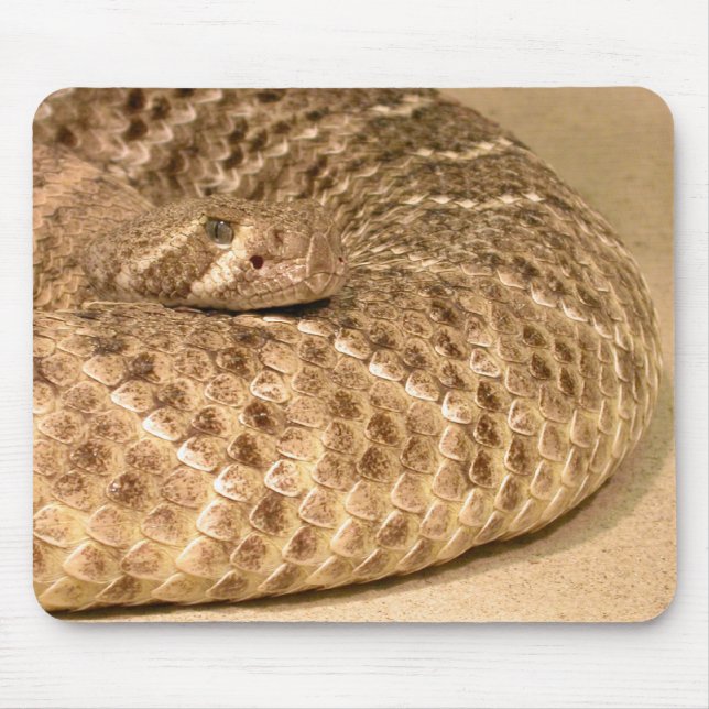 western diamondback rattlesnake mouse pad (Front)