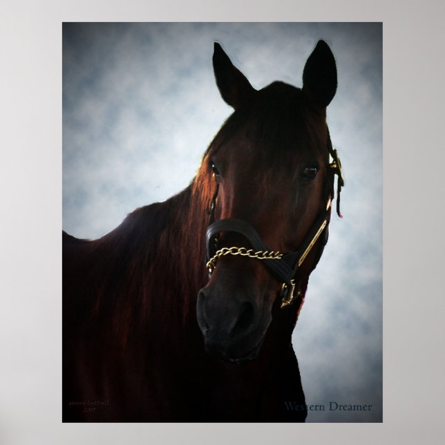 Western Dreamer Poster (Front)