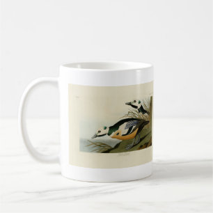 Western Duck from Audubon's Birds of America Coffee Mug