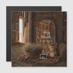 Western Farm Pregnancy Announcement Mirror reveal