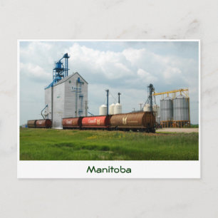 Western Grain Elevator Postcard