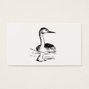 Western Grebe