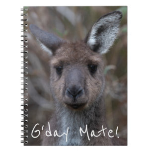 Western Grey Kangaroo Australia Notebook