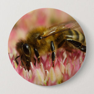 Western Honey Bee Macro 10 Cm Round Badge