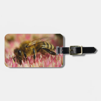 Western Honey Bee Macro Luggage Tag