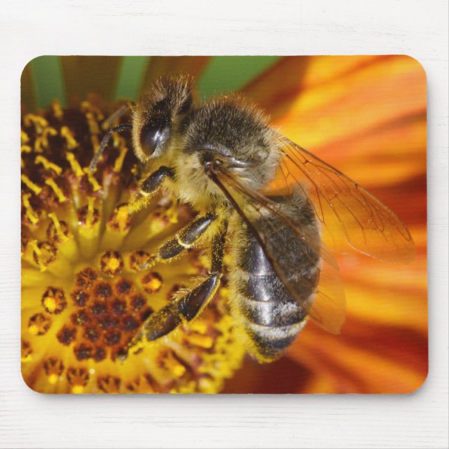 Western Honey Bee Macro Mouse Pad (Front)