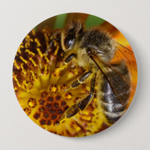 Western Honey Bee Macro Photo 10 Cm Round Badge