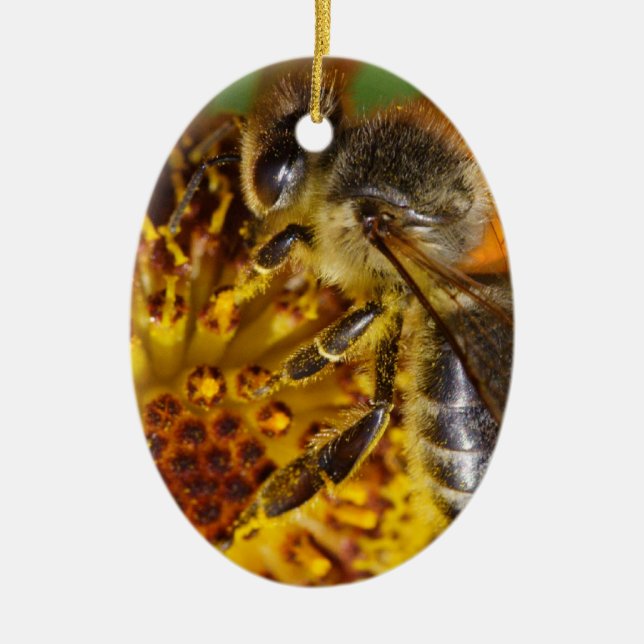 Western Honey Bee Macro Photo Ceramic Tree Decoration (Front)