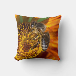 Western Honey Bee Macro Photo Cushion