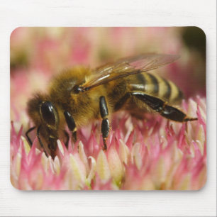 Western Honey Bee Mouse Pad