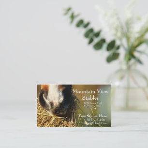 Western  Horse Business Card Template