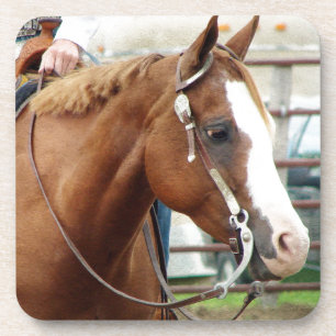Western Horse Coaster