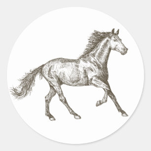 Western Horses Equestrian Country Horse Rustic Classic Round Sticker