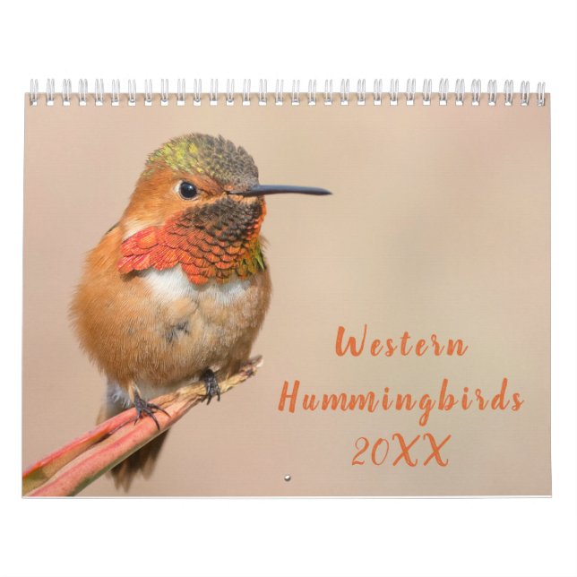 Western Hummingbirds Photography Calendar (Cover)