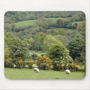 Western Ireland, Dingle Peninsula, broad Mouse Pad