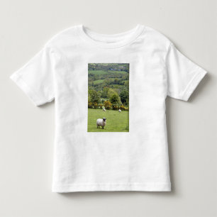 Western Ireland, Dingle Peninsula, broad Toddler T-Shirt