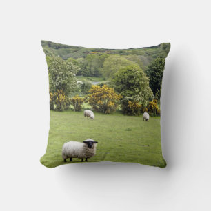 Western Ireland, Dingle Peninsula Cushion