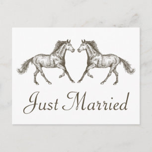 Western Just Married Rustic Wedding Horse Country Announcement Postcard