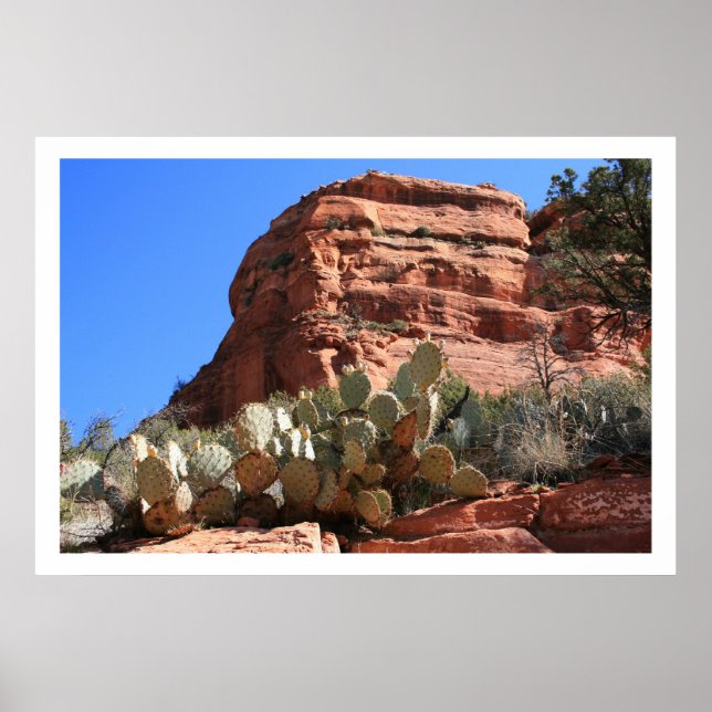 Western Landscape Poster (Front)