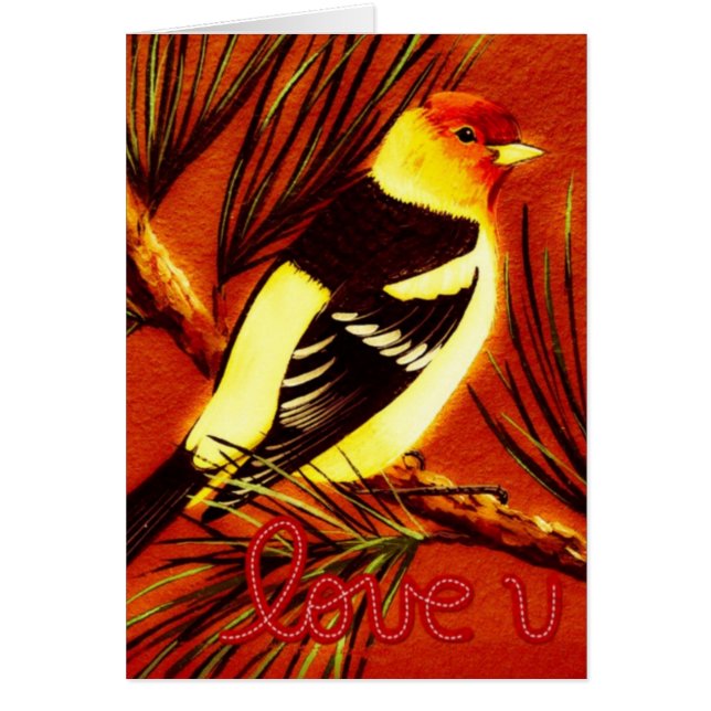 Western Love Tanager (Front)