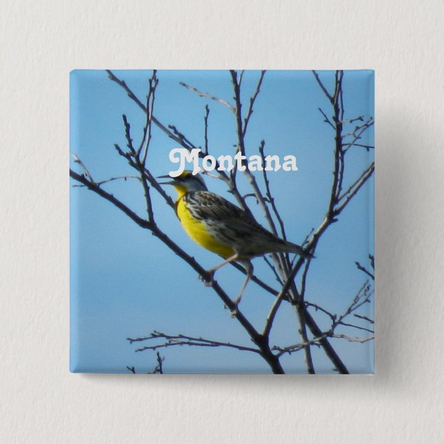 Western Meadowlark 15 Cm Square Badge (Front)
