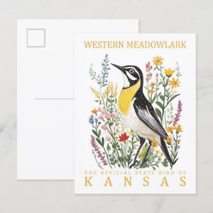 Western Meadowlark Bird of Kansas USA Travel Postcard