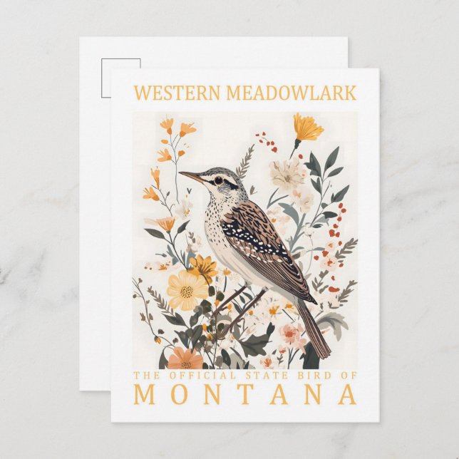 Western Meadowlark Bird of Montana USA Travel Postcard (Front/Back)