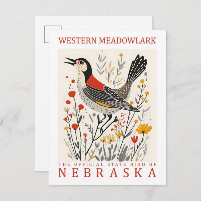 Western Meadowlark Bird of Nebraska USA Travel Postcard (Front/Back)