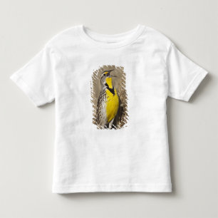 Western Meadowlark (Strunella neglecta) Toddler T-Shirt