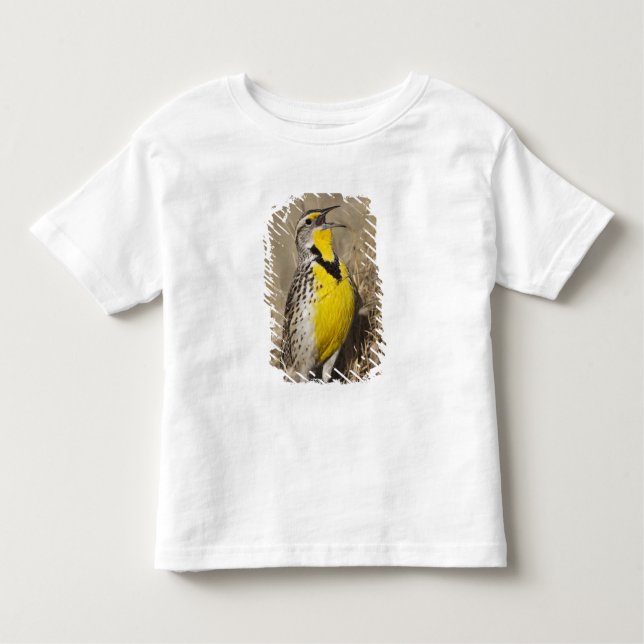 Western Meadowlark (Strunella neglecta) Toddler T-Shirt (Front)