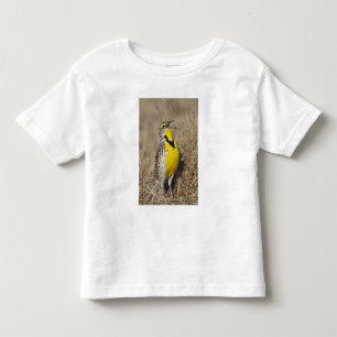 Western Meadowlark (Strunella neglecta) Toddler T-Shirt