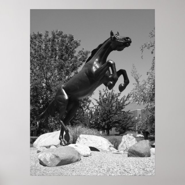 Western Michigan University, Kalamazoo, MI Poster (Front)