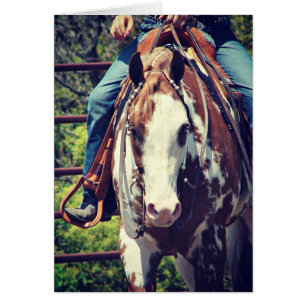 Western Paint Horse