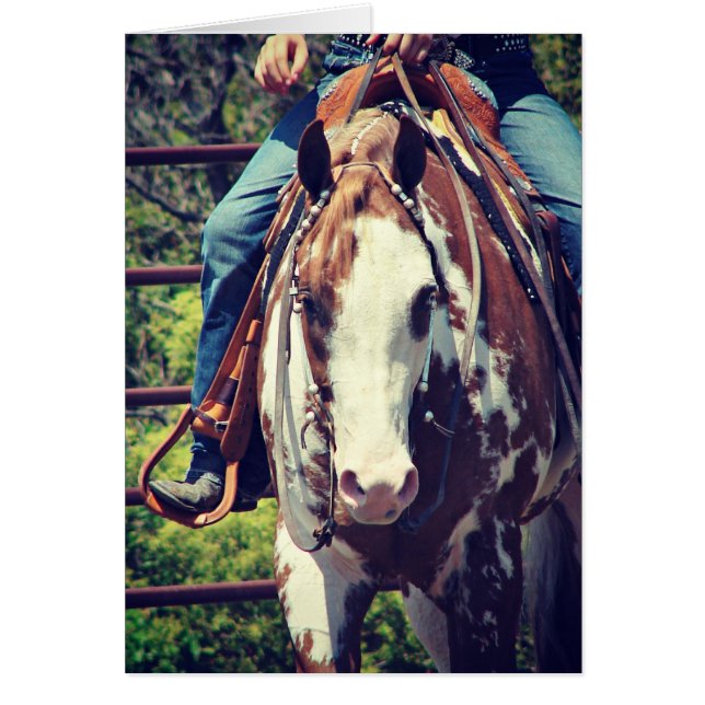 Western Paint Horse (Front)