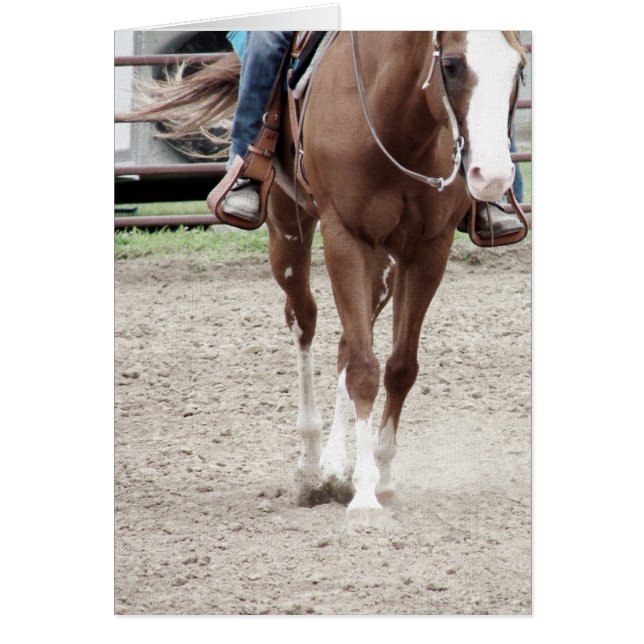 Western Paint Horse (Front)