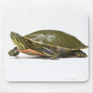 Western painted turtle (Chrysemys picta bellii), Mouse Pad