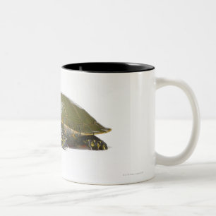 Western painted turtle (Chrysemys picta bellii), Two-Tone Coffee Mug
