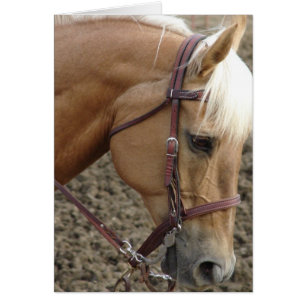 Western  Palomino