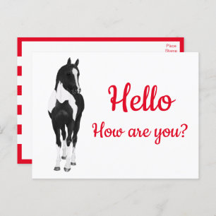 Western Pony Watercolor Black White Horse Hello  P Postcard