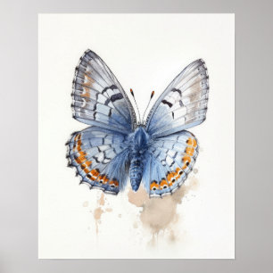 Western Pygmy Butterfly Art Print Poster