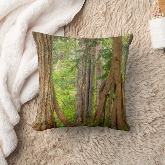 Western Red Cedar Tree | Washington State Cushion (Blanket)