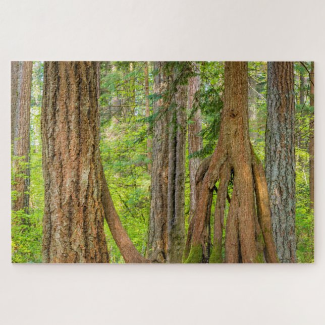 Western Red Cedar Tree | Washington State Jigsaw Puzzle (Horizontal)