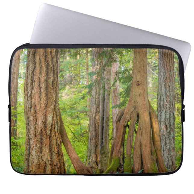 Western Red Cedar Tree | Washington State Laptop Sleeve (Front)