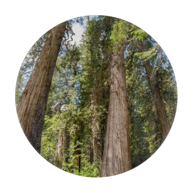 Western Red Cedar Trees Cutting Board (Front)