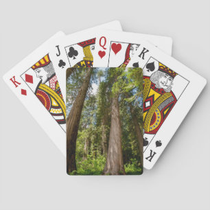 Western Red Cedar Trees Playing Cards