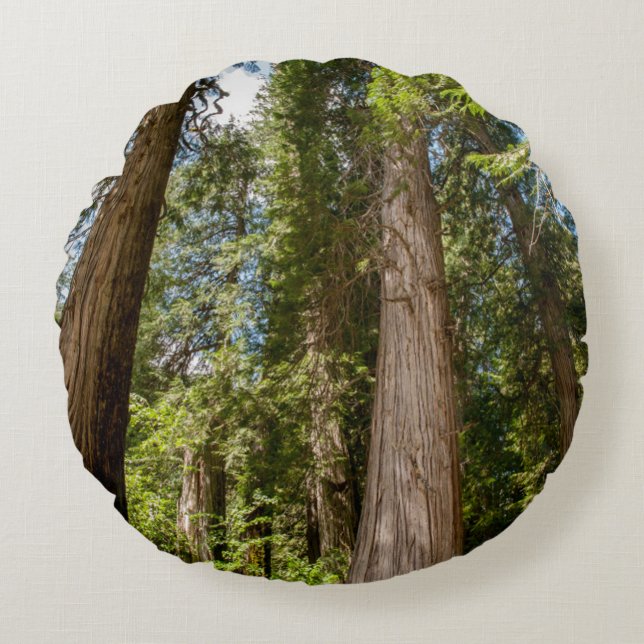 Western Red Cedar Trees Round Cushion (Front)