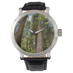Western Red Cedar Trees Watch