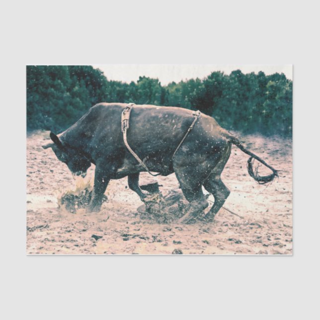 Western Rodeo Black Bull Country Cowboy Rustic Tissue Paper (Front)