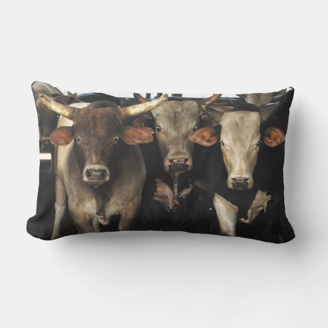 Western Rodeo Bull Cows Cowboy Southwest MoJo Pill Lumbar Cushion (Front)
